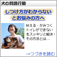 千葉県内の犬しつけ訓練所一覧 犬のしつけ教室ネット版