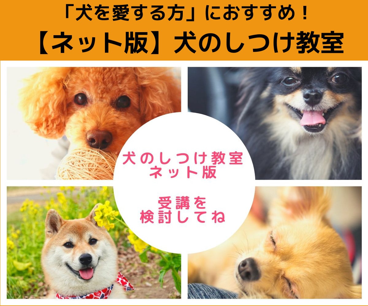 【ネット版】犬のしつけ教室